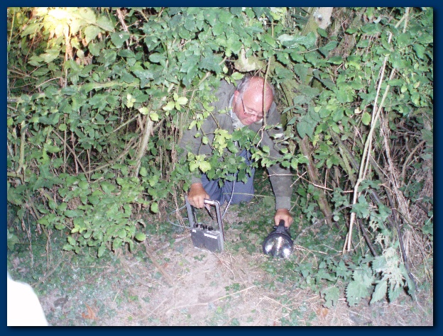 600x449 pixels (203K)